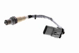 Oxygen Sensor - V40-76-0044