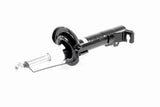 Shock Absorber - V25-1855