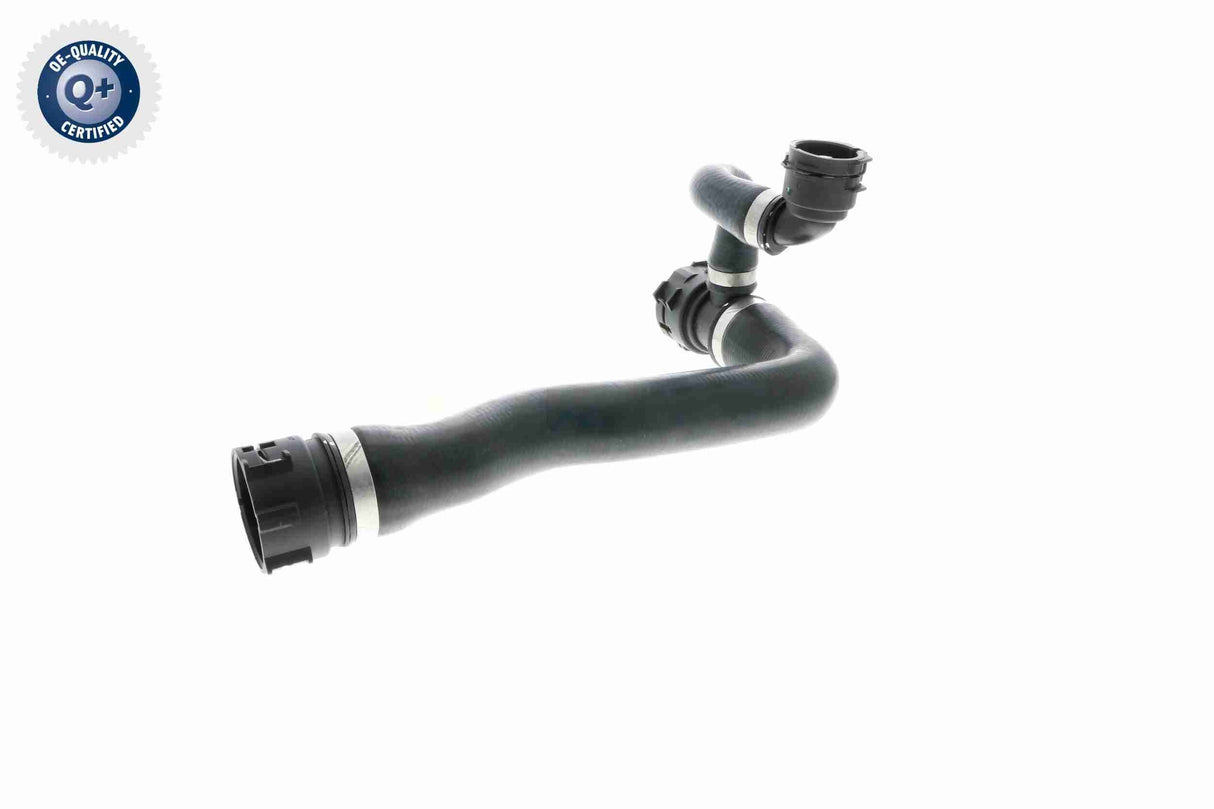 Radiator Hose - V20-1284