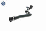 Radiator Hose - V20-1284