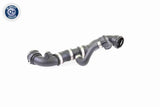 Radiator Hose - V20-1266