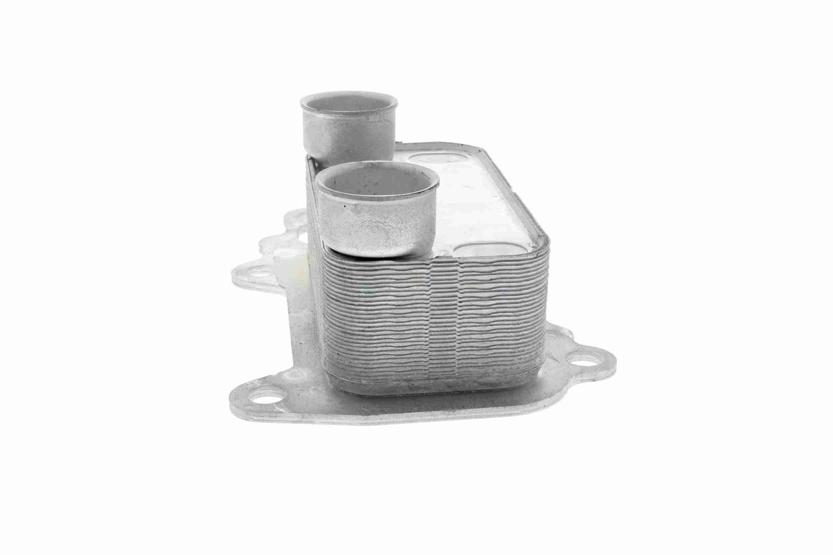 Oil Cooler, engine oil - V20-60-0061