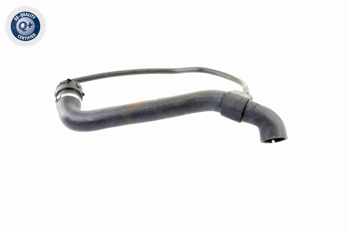 Radiator Hose - V30-1456