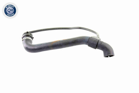 Radiator Hose - V30-1456