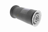 Air Suspension Strut - V20-50-0023