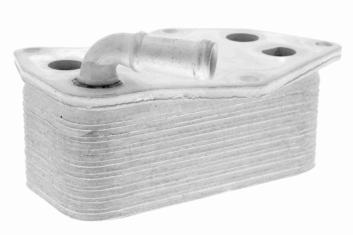 Oil Cooler, engine oil - V15-60-6074