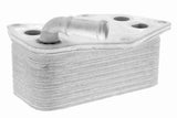 Oil Cooler, engine oil - V15-60-6074