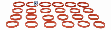 Gasket Set, intake manifold - V10-77-0076