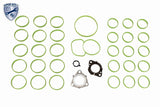 Gasket Set, intake manifold - V10-77-0081
