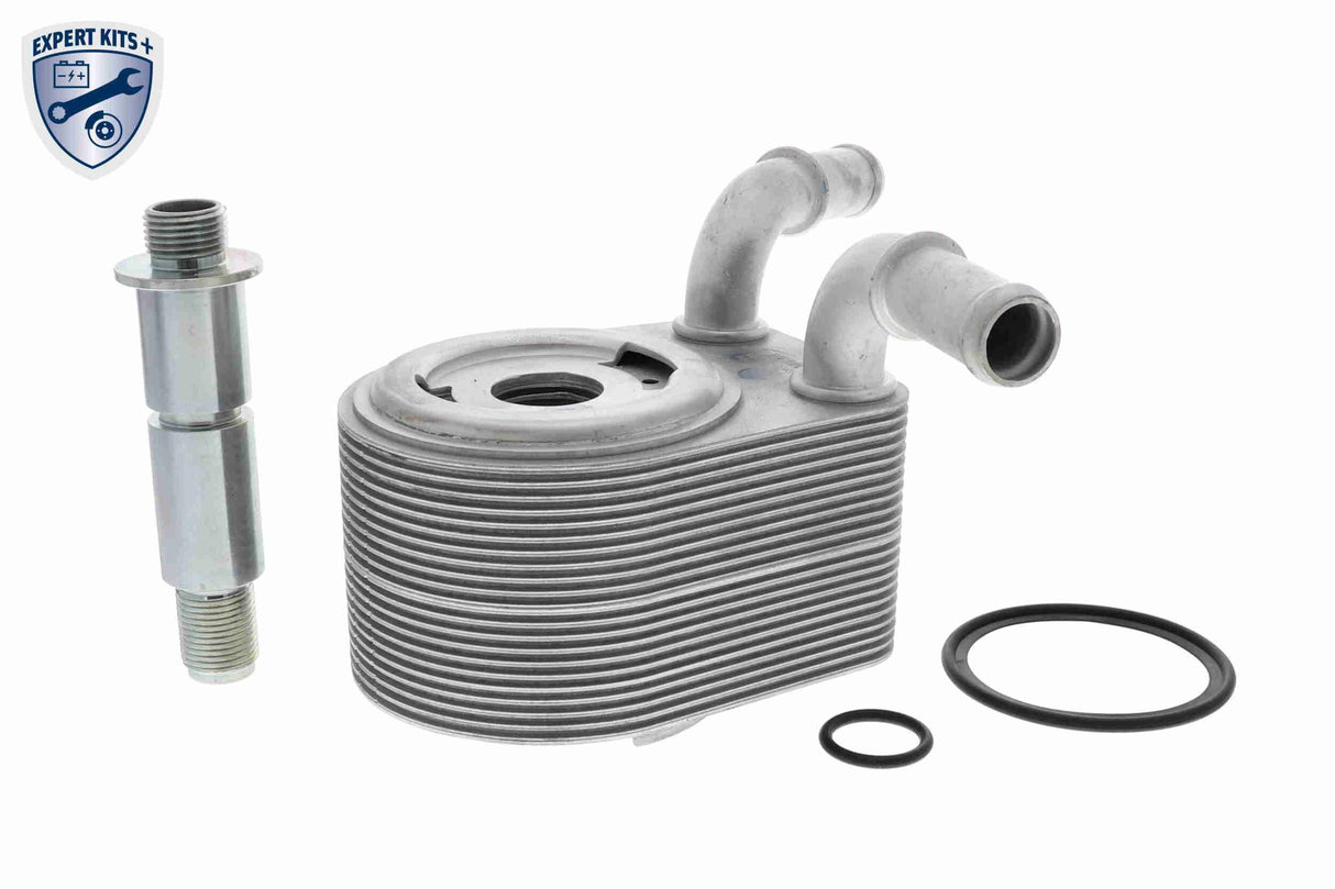 Oil Cooler, engine oil - V25-60-0049