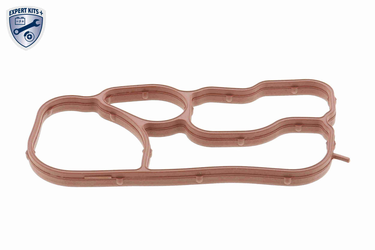 Gasket, oil cooler - V15-60-90015