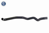 Radiator Hose - V24-0825