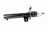 Shock Absorber - V10-4955