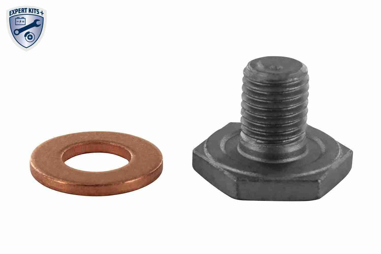 Oil Sump - V22-0345
