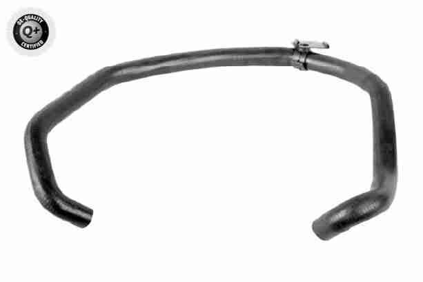 Radiator Hose - V25-2580