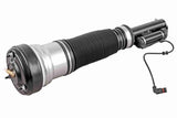 Air Suspension Strut - V30-50-0025