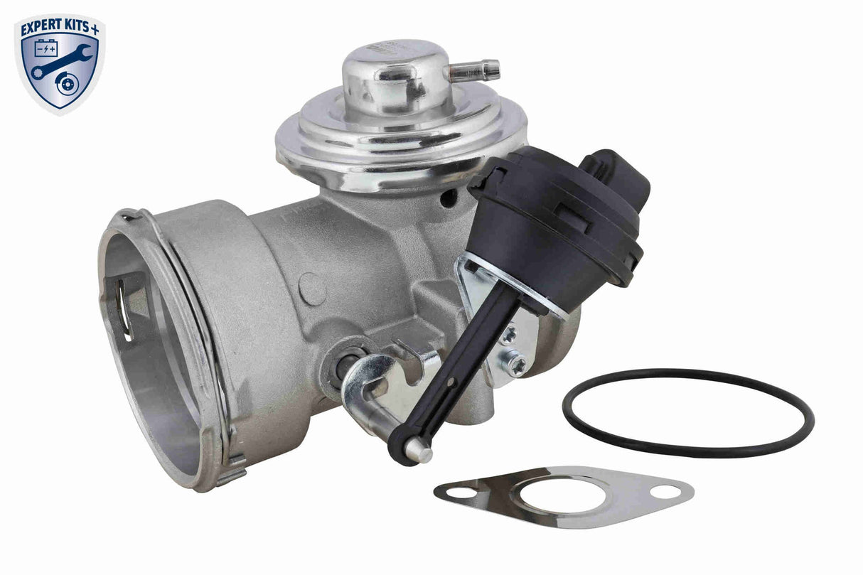 Valve, exhaust gas recirculation - V10-63-0032-1