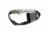 Oxygen Sensor - V24-76-0010