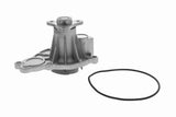 Water Pump, engine cooling - V20-50069