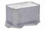 Oil Cooler, engine oil - V20-60-0112