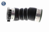 Charge Air Hose - V20-3656