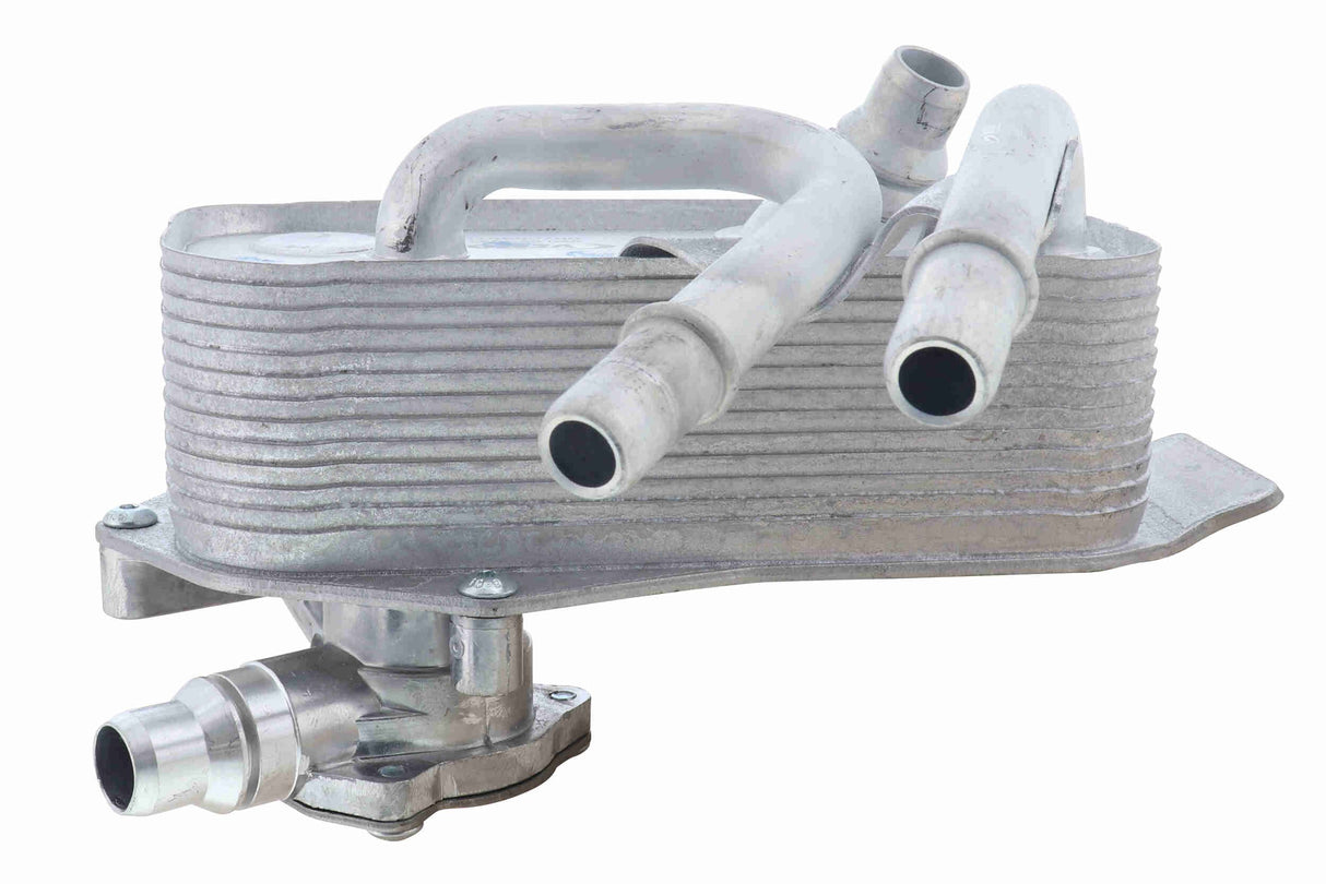 Oil Cooler, automatic transmission - V20-60-1532