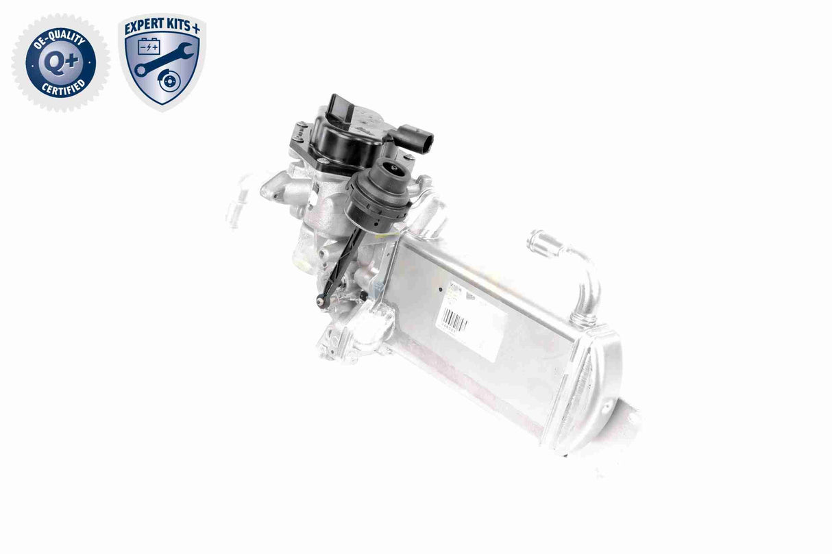 EGR Module - V10-63-0050