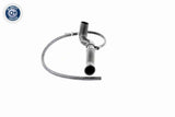 Radiator Hose - V10-4809