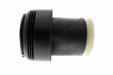 Air Suspension Strut - V20-50-0010-1
