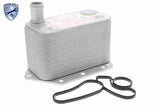 Oil Cooler, engine oil - V20-60-0042