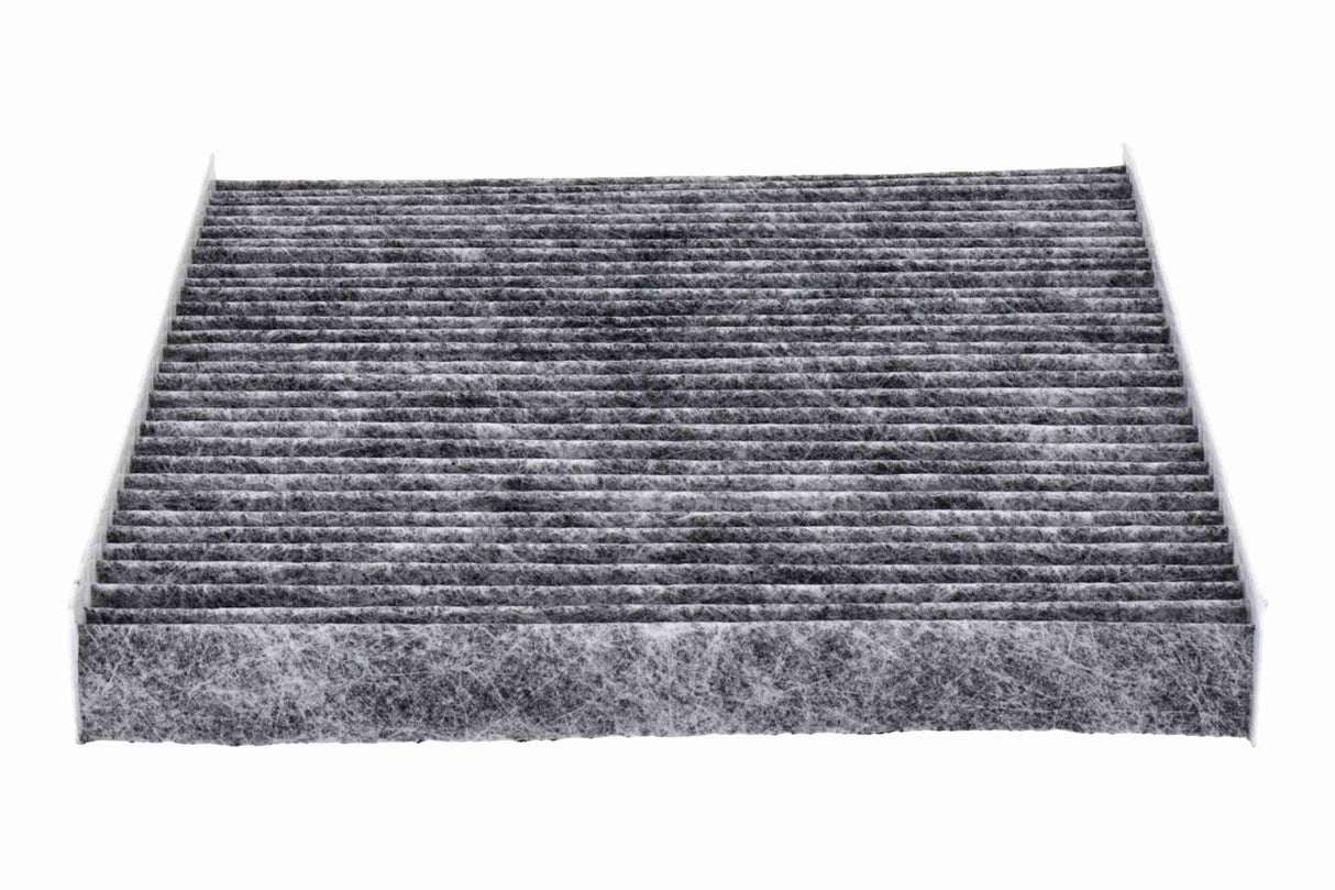Filter, cabin air - V10-31-0003