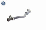 Radiator Hose - V20-1778