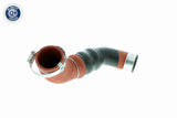 Charge Air Hose - V10-2919