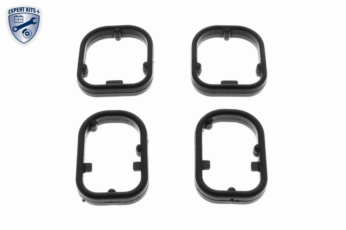 Gasket Set, oil cooler - V20-60-1565