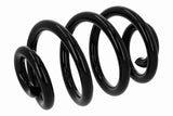 Suspension Spring - V10-5175