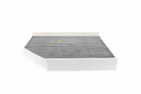 Filter, cabin air - V10-31-1004