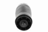 Air Suspension Strut - V20-50-0003-1