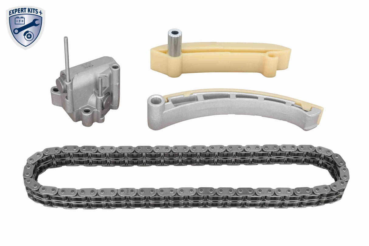 Timing Chain Kit - V20-10013-BEK2
