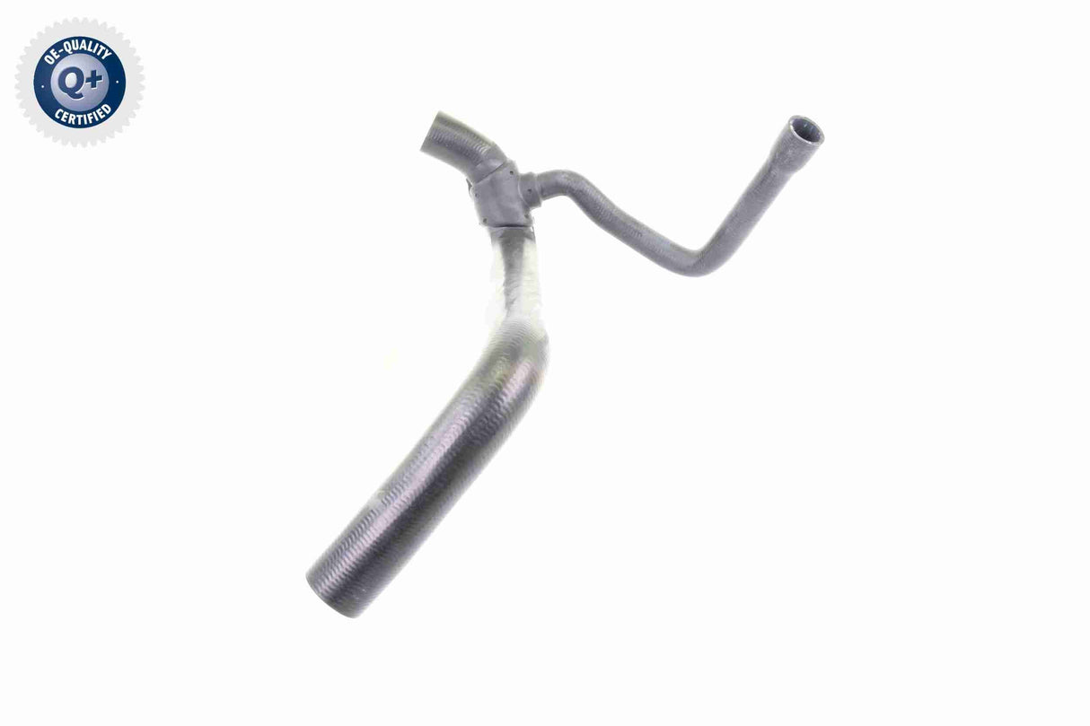 Radiator Hose - V30-0224
