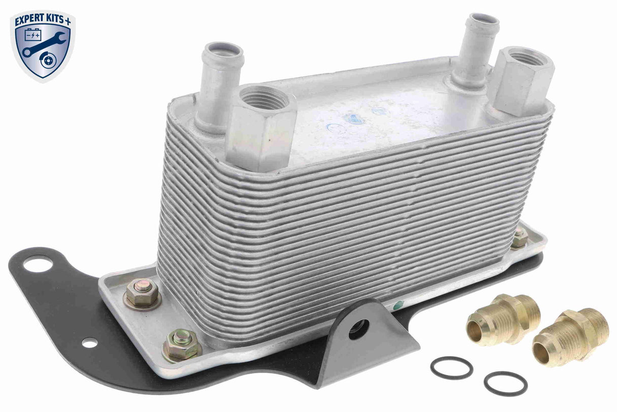 Oil Cooler, engine oil - V25-60-0045