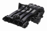 Intake Manifold Module - V10-8820
