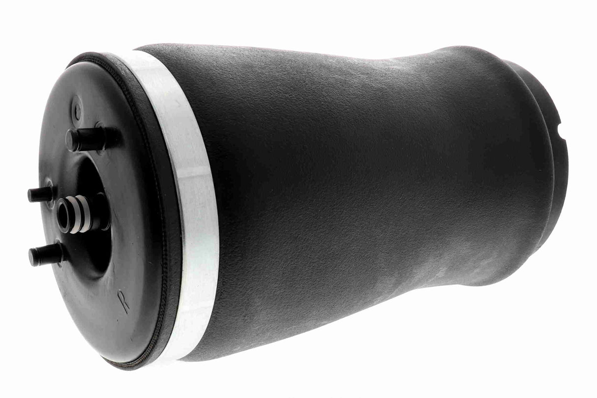 Air Suspension Strut - V20-50-0002-1