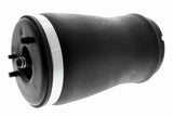 Air Suspension Strut - V20-50-0002-1