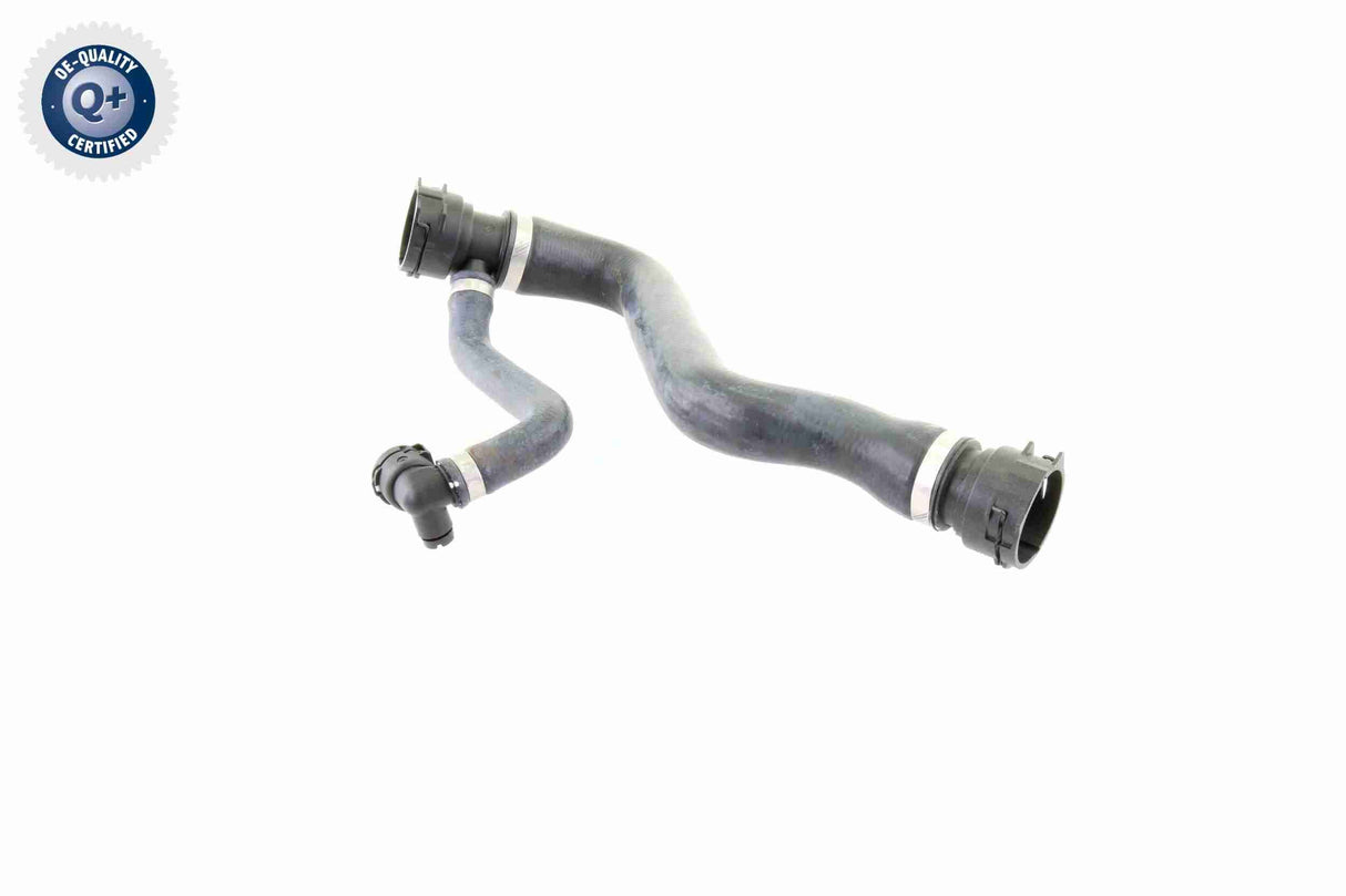 Radiator Hose - V20-1295