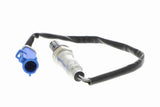 Oxygen Sensor - V25-76-0024