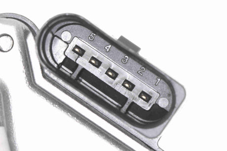 Throttle Body - V10-81-0085