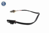 Oxygen Sensor - V20-76-0076
