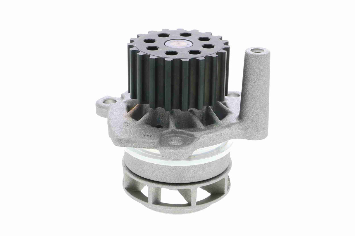 Water Pump, engine cooling - V10-50073-1