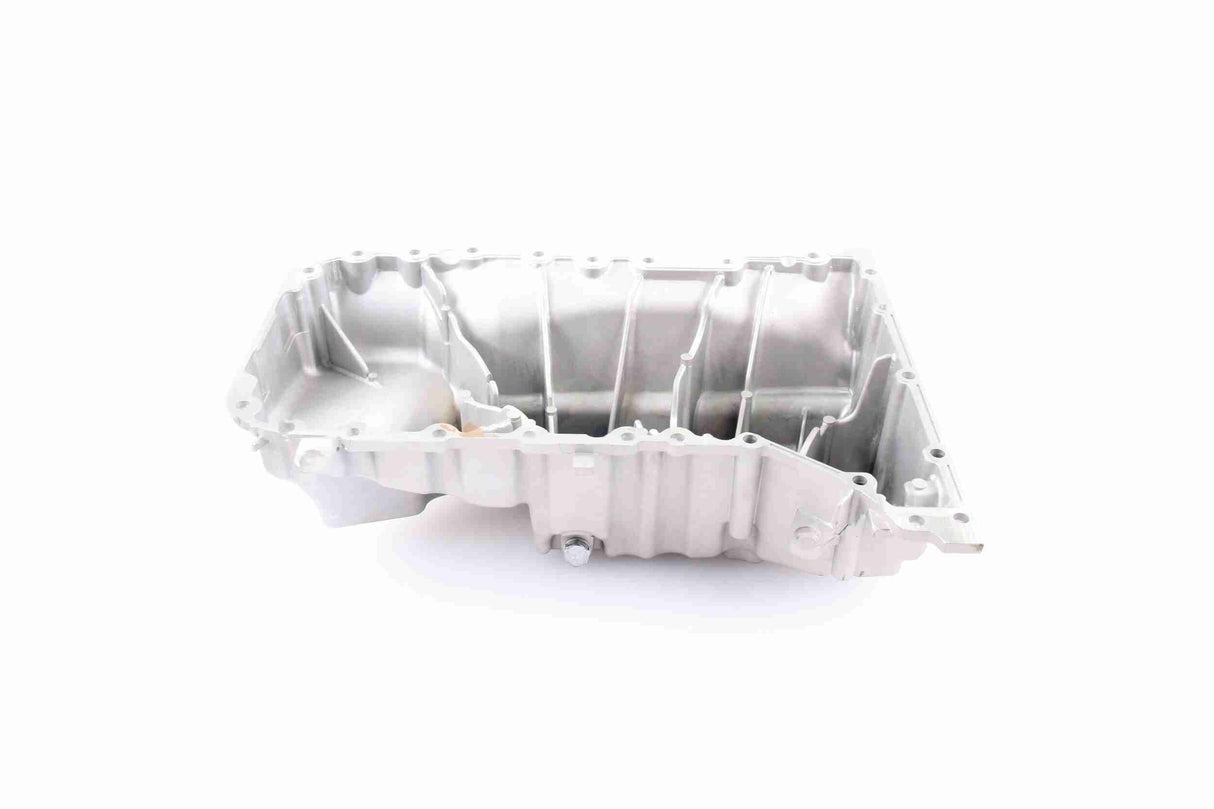 Oil Sump - V10-4801