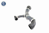 Radiator Hose - V20-1292